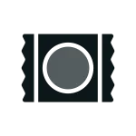 Protect SVG Icon